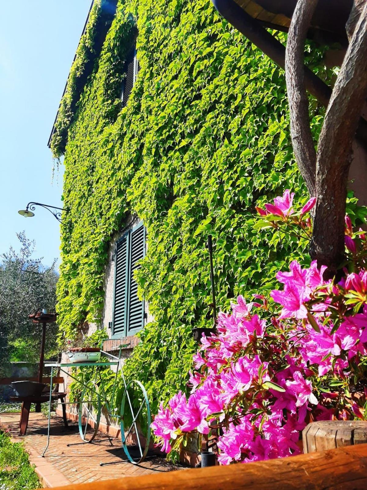 Вилла Agriturismo Ca Di Rossi Мулаццо Экстерьер фото